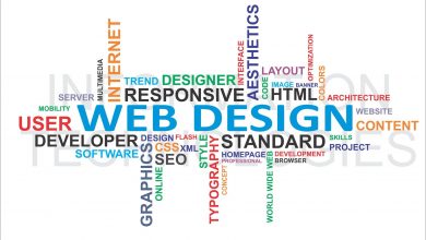 Photo of What are the differences between website development and design?